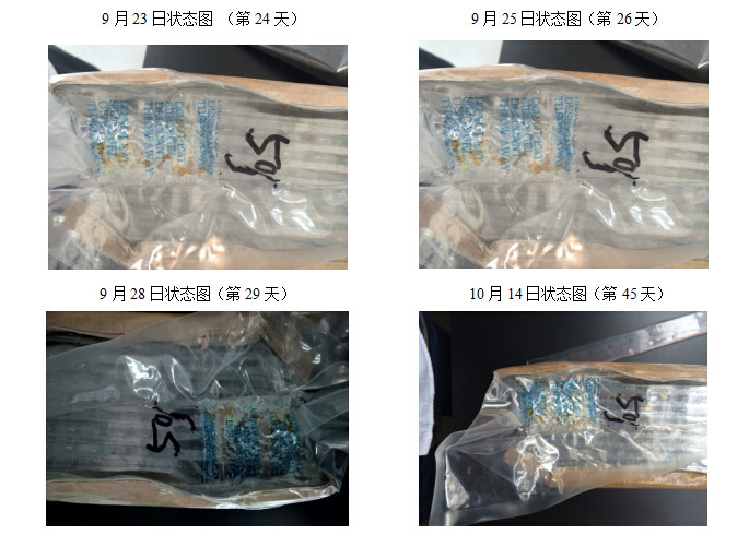 æ©è²ç¡è¶å¹²ç¥ååè²å¾2.jpg